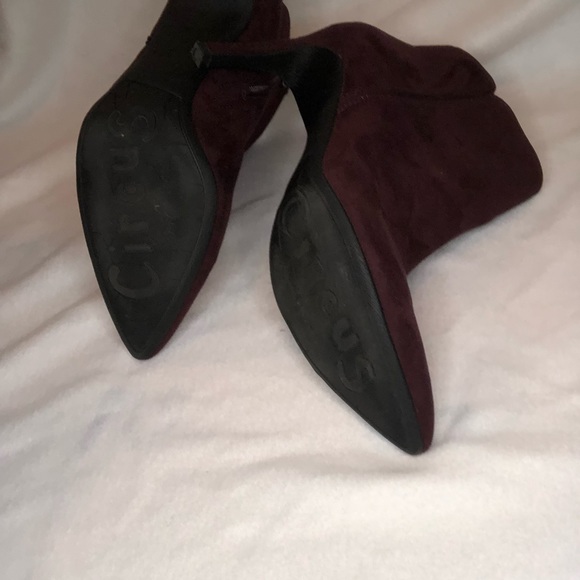 Circus by Sam Edelman High Heel Booties - Picture 6 of 6
